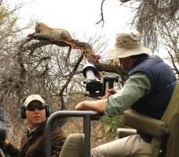 Londolozi Photographic Safari